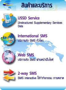 SMS Mobile Marketing service